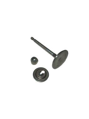 Genuine Briggs and Stratton 495857 Intake Valve OEM OP12 M20